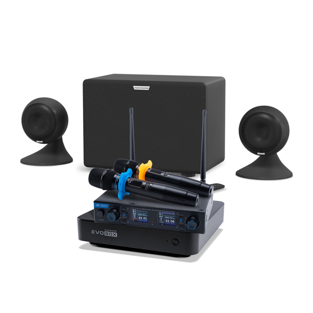караоке-комплект EVOBOX + EvoSound Sphere 2.1 в Дзержинске
