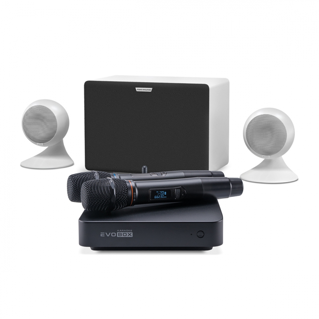 караоке-комплект EVOBOX Classic + EvoSound Sphere 2.1 в Дзержинске