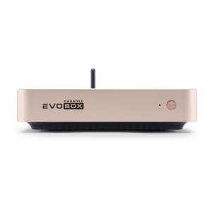 EVOBOX Classic караоке-система для дома в Дзержинске