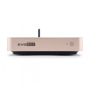 EVOBOX Plus караоке-система для дома в Дзержинске