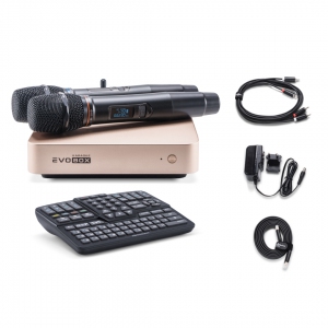 EVOBOX Plus караоке-система для дома в Дзержинске